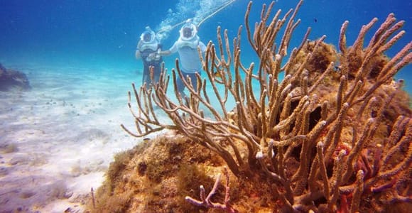 Cozumel: Sea Trek Adventure at Chankanaab National Park