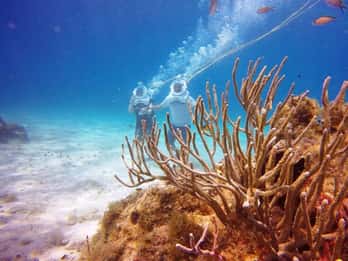 Косумель: морской поход в национальном парке Чанканааб