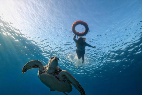 Shared 3 Gili Islands Snorkeling Tour with Turtles & Reefs
