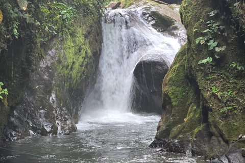 Forêt de nuages de Mindo Oiseaux Papillons Chutes d&#039;eau Chocolat...