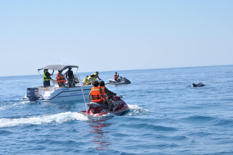 Guided Dolphin Watching and Secluded Beach Boat Tours Guided Dolphin Watching and Secluded Beach Boat Tours 120min