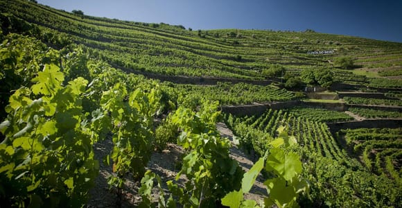 Private Luxury Wine & Foodtour in Douro