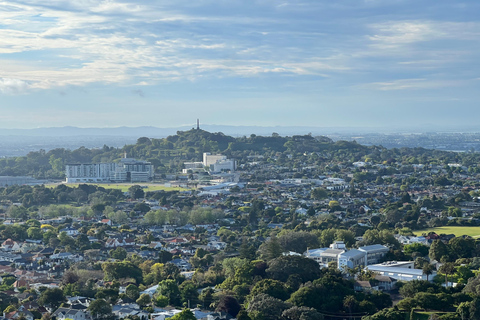 AUCKLAND: Half-Day CITY HIGHLIGHTS TOUR with Hotel Pickup