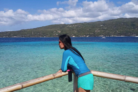 Oslob: Whale Sharks, Tumalog Falls & Sumilon Trio Adventure