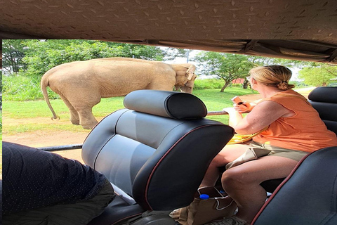 02 dagar - Besök Ella och Udawalawe Safari - Allt inklusive2 dagar - Besök Ella och Udawalawe Safari - Allt inklusive