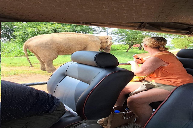 02 dagar - Besök Ella och Udawalawe Safari - Allt inklusive2 dagar - Besök Ella och Udawalawe Safari - Allt inklusive