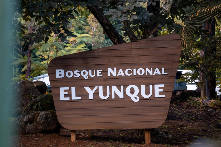 El Yunque Rainforest: EZ-Going Bus Tour (Accessible)
