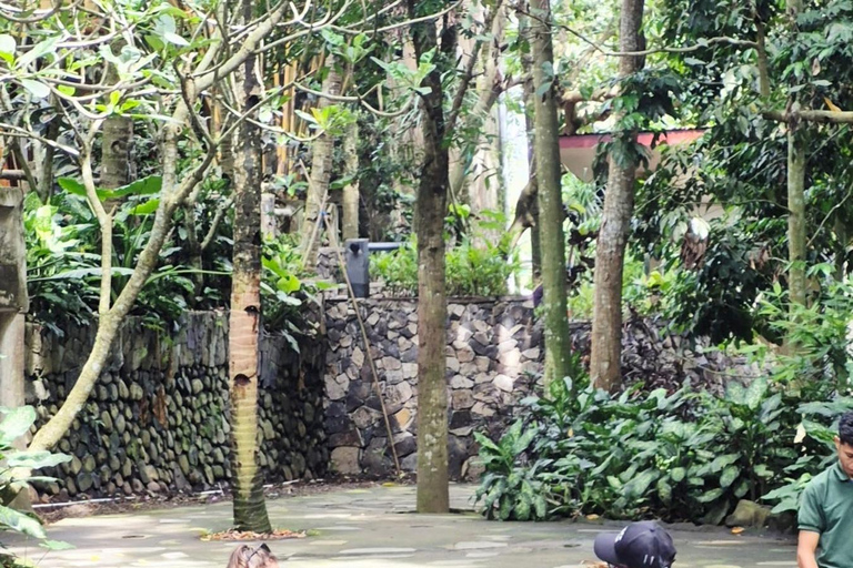 Lombok Wildlife Park and Sunset Escape Big Group