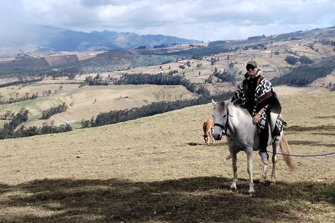 Ein Tag mit geretteten Pferden – Pferdetherapie