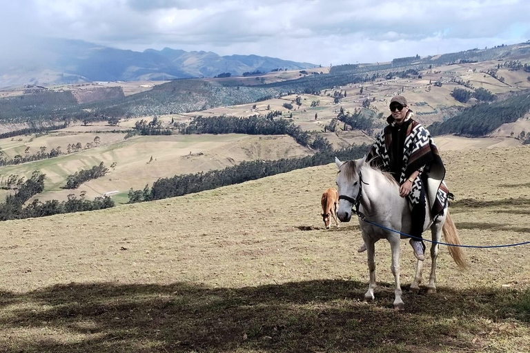 Ein Tag mit geretteten Pferden – Pferdetherapie
