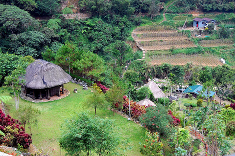 Baguio Whole Day Tour with Lunch (Private Tour)