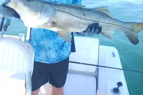 Sarasota Florida: Skyway Fishing Tours