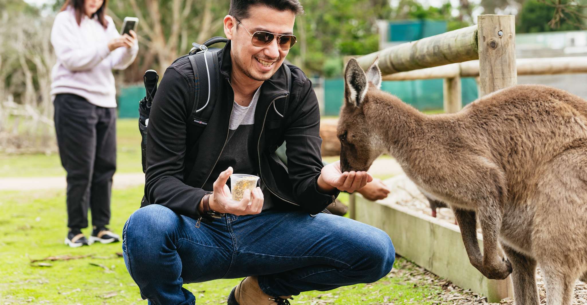 Phillip Island Penguin Parade with Expert Local Guide photo 3