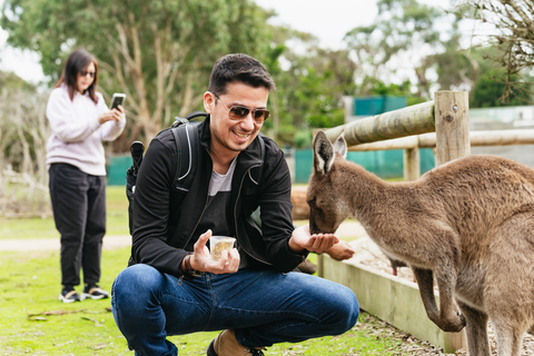 Från Melbourne: Phillip Island Eco Wildlife-turFrån Melbourne: Ekologisk utflykt till Phillip Island