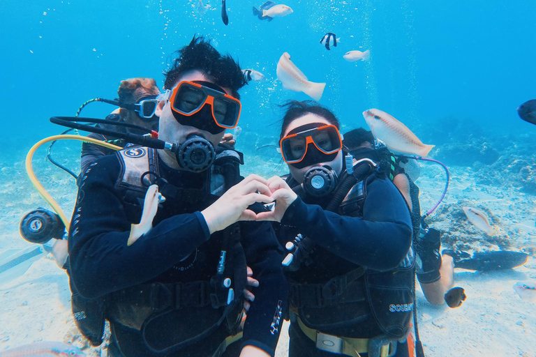 Cebu: Discover Scuba Diving Experience with Hotel Pickup