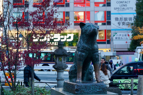 Tokyo: Harajuku From Meiji shrine to Shibuya Crossing From Meiji shrine to Shibuya Crossing 2 hours_cf10