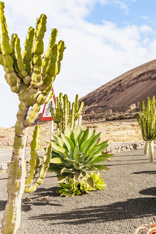 Lanzarote, geführte Offroad-Vulkanbuggy-Tour mit Abholung - Housity
