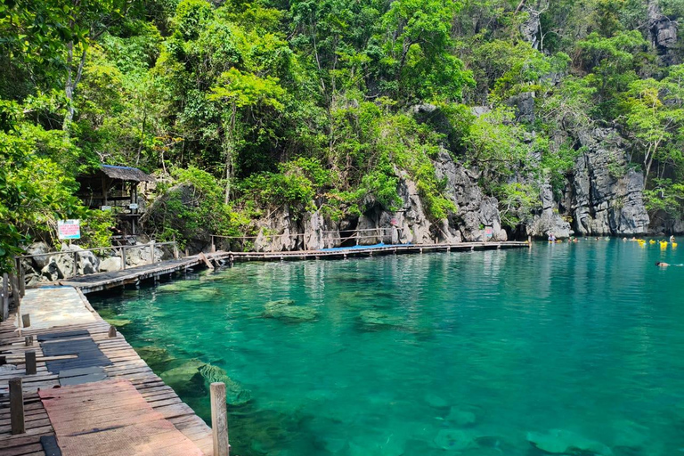 Coron: Island Highlights Tour with Buffet Lunch and Pick-up