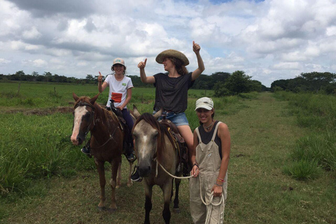Campeche: Palenque, Sabancuy, & Palizada 2-Day Tour