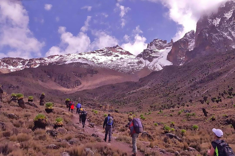 Expedições de 4 dias para escalada e caminhada no Monte Quênia: Rota Sirimon