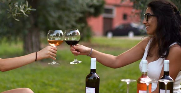 Near Lake Garda: Winery Tour with Four Wines & Food Pairing