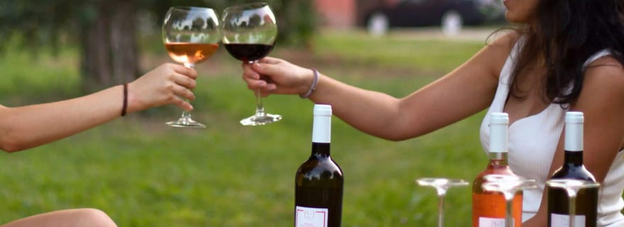 Salò : visite d'un domaine viticole avec dégustation de vin et de mets près du lac de Garde