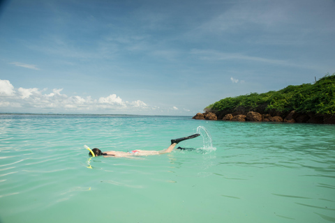 Pedasi: Whale Watching Tour + Isla Iguana