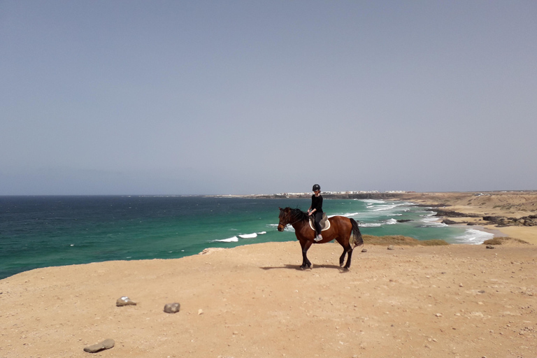 Fuerteventura: Horseback Riding to the Cliffs of El Cotillo Fuerteventura: Horseback Ride to the Cliffs of El Cotillo