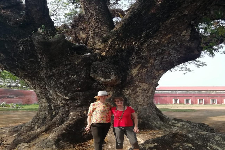 Kochi: Tuk-Tuk-Ausflug mit versteckten SchätzenKochi: Ausflug mit dem Tuk-Tuk zu versteckten Schätzen