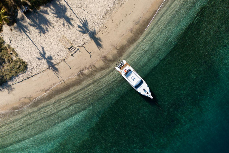 Komodo Day Trip 6 Spots | Premium Speedboat & Entrance Fees