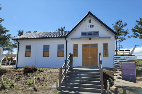 Excursión al 2º túnel de la DMZ y al puente colgante en forma de Y desde Seúl