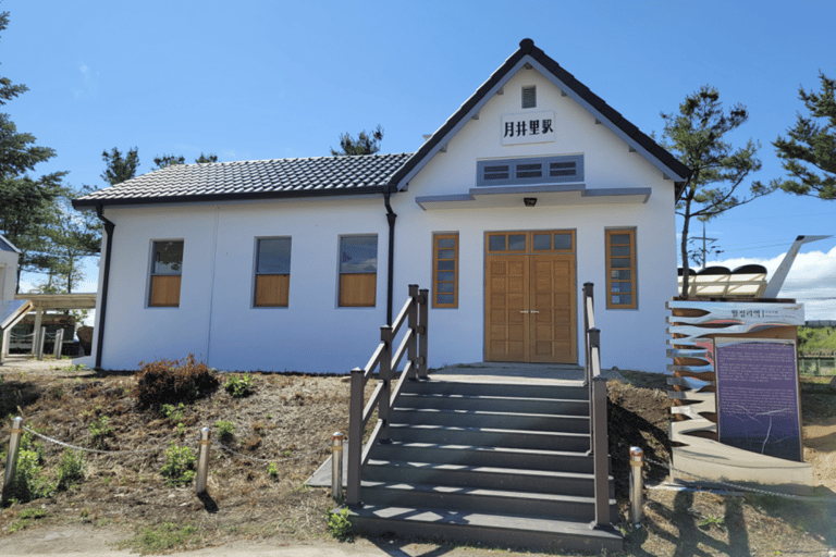 Excursión al 2º túnel de la DMZ y al puente colgante en forma de Y desde Seúl