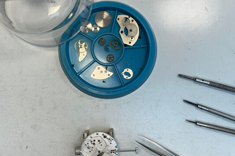 Switzerland: Mobile Introductory Watchmaking Workshop Switzerland: Mobile watchmaking workshop