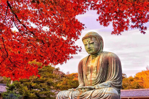 Tóquio: viagem a Kamakura e Enoshima com passeio de comboio e Grande Buda8h00 - Partida da Estação JR de Tóquio