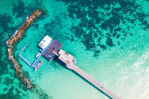 Phuket: Phi Phi Islands Day Trip with Meals & Transfer