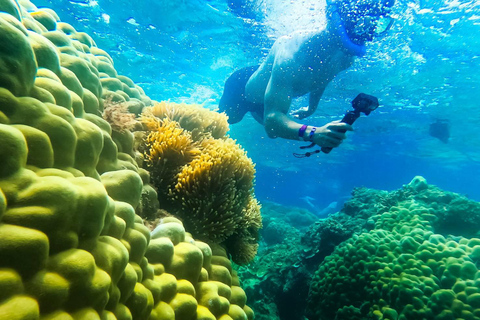 Koh Tao: Koh Nangyuan & Hidden Bays Snorkeling Tour w/ Lunch