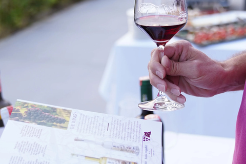 From Durres: Wine Tasting in Duka Winery