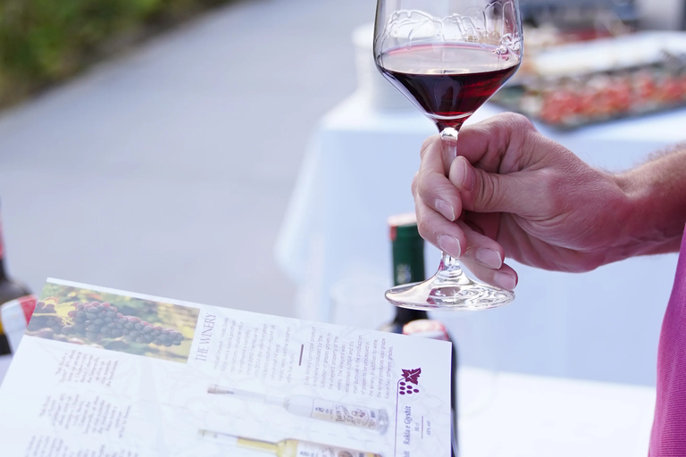 From Durres: Wine Tasting in Duka Winery