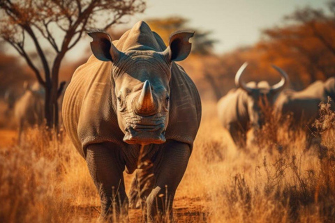 From Nairobi: Overnight Ol Pejeta Conservancy Safari From Nairobi: Overnight Ol Pejeta Conservancy Safari