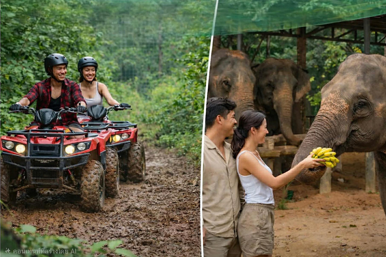 Canopy Forest Tiger Safari ATV Ride ,Feed Elephant Sanctuary Phuket: ATV Ride & Feeding Elephant Sanctuary