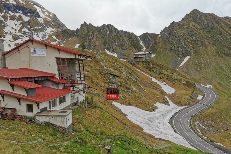 Bucharest: Top Gear Road & Wild Brown Bears, group max 8 pax Bucharest: Transfăgărășan Top Gear Road & Wild Brown Bears