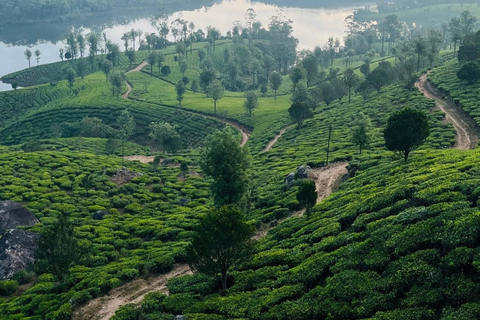 De Kochi a Munnar: Eravikulam, finca de té y cascadas