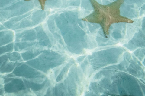 San Blas Secrets : à la découverte du paradis des CaraïbesSan Blas Secrets_ À la découverte du paradis caribéen