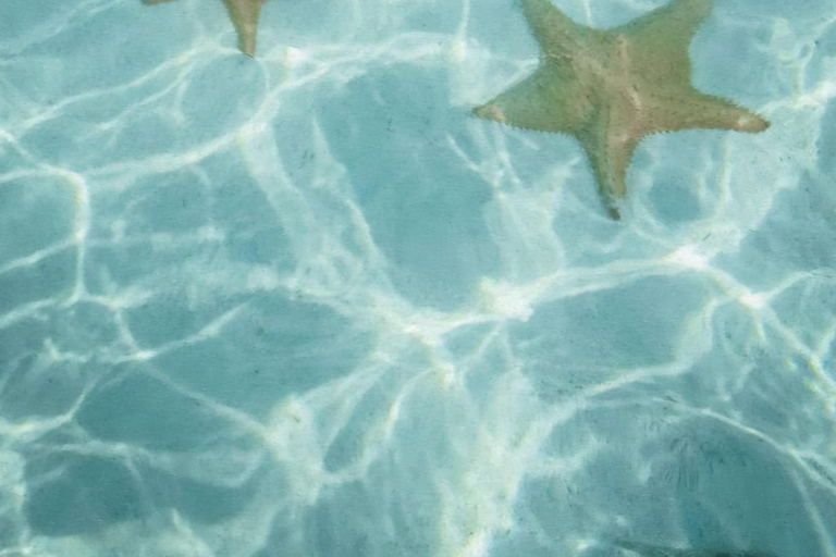 San Blas Secrets : à la découverte du paradis des CaraïbesSan Blas Secrets_ À la découverte du paradis caribéen