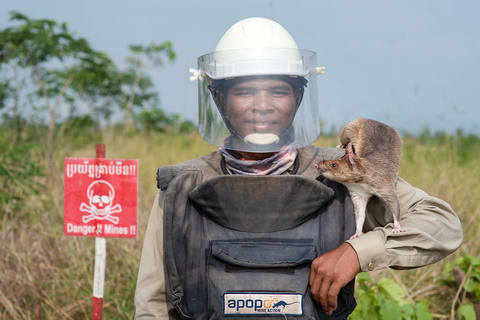 Siem Reap: City Highlights Tour & APOPO Hero Rat Experience Vespa Option + English Guide