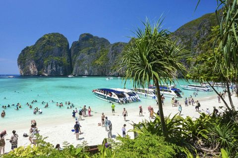 Phi Phi: 4 Islands Sunset &amp; Bioluminescent Plankton Tour