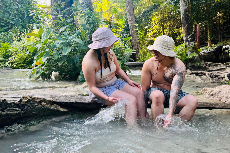 Chiang Mai: viagem de 1 dia com aventura na cascata Sticky e tirolesaChiang Mai: Viagem de 1 dia com aventura na cascata Sticky e tirolesa