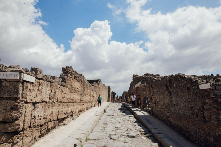 Pompei Guided Tour in Shared Formula Pompei Guided Tour (Sharing Formula- No Ticket Included)