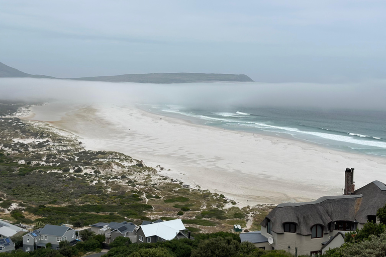 Kaapstad: Kaap de Goede Hoop &amp; Pinguïns Dagvullende tour met gids