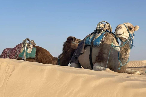 From Kairouan: 2-Day Sahara Tour with Hotel Stay 2-Day Sahara Desert Tour